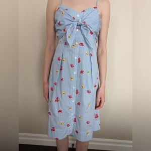 RW&Co Blue Striped Floral Dress with front tie detail
